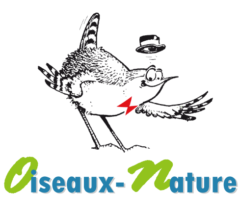 Oiseaux Nature